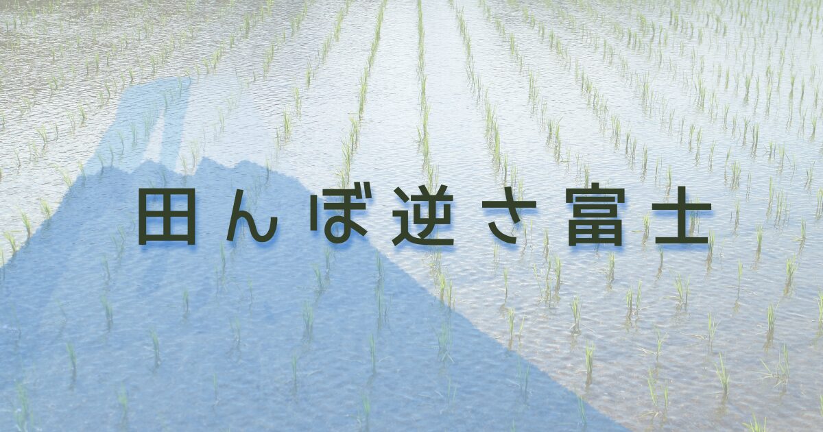 田植えと富士山