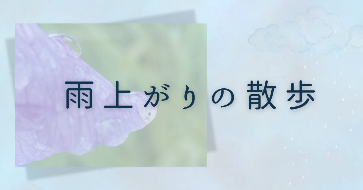 雨上がりの散歩