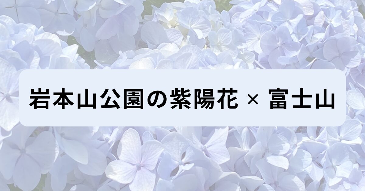 岩本山公園