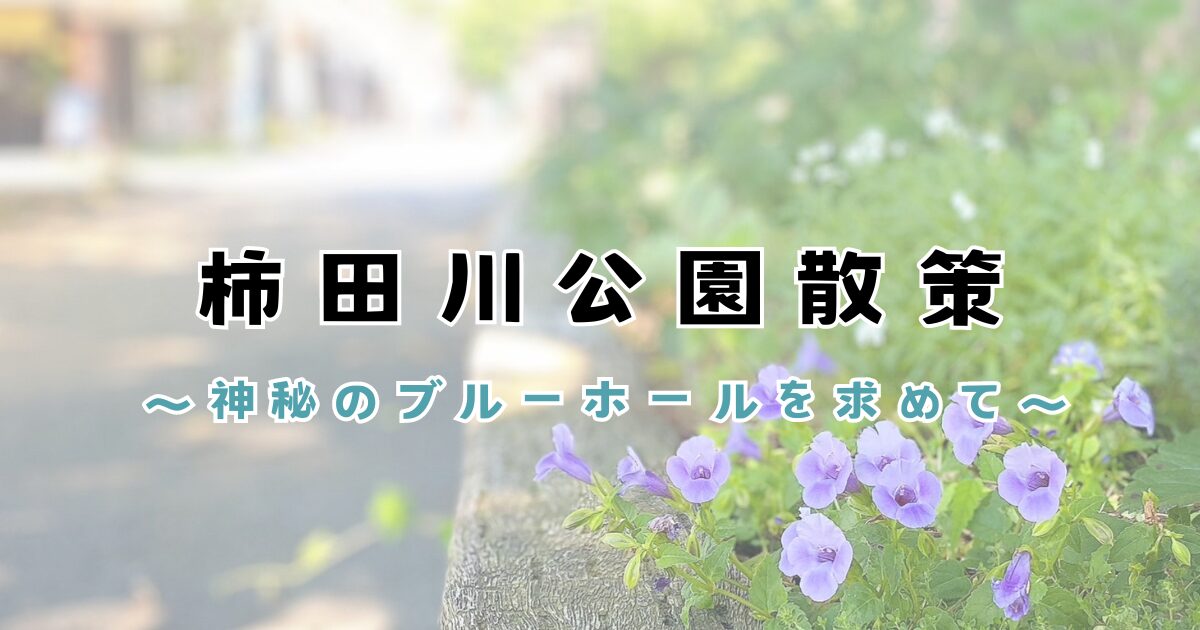 柿田川公園の散策