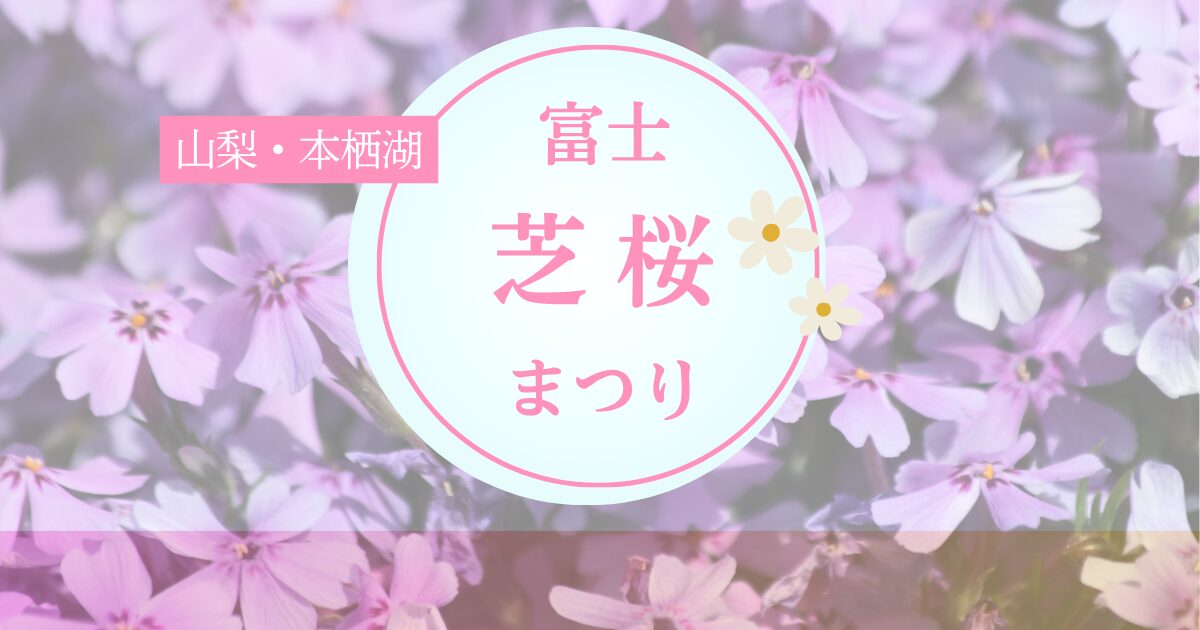 富士芝桜まつりの様子