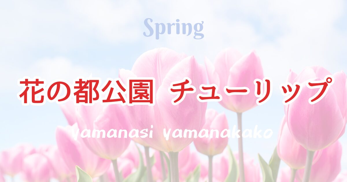 山中湖花の都公園