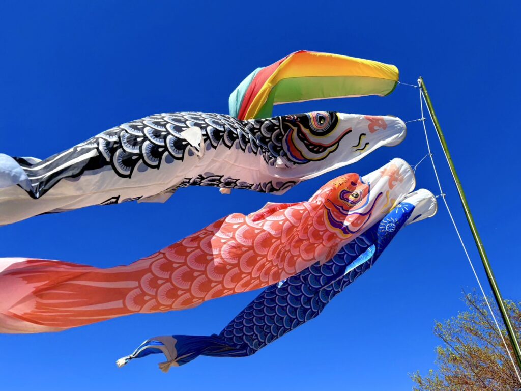 風に泳ぐ鯉のぼり