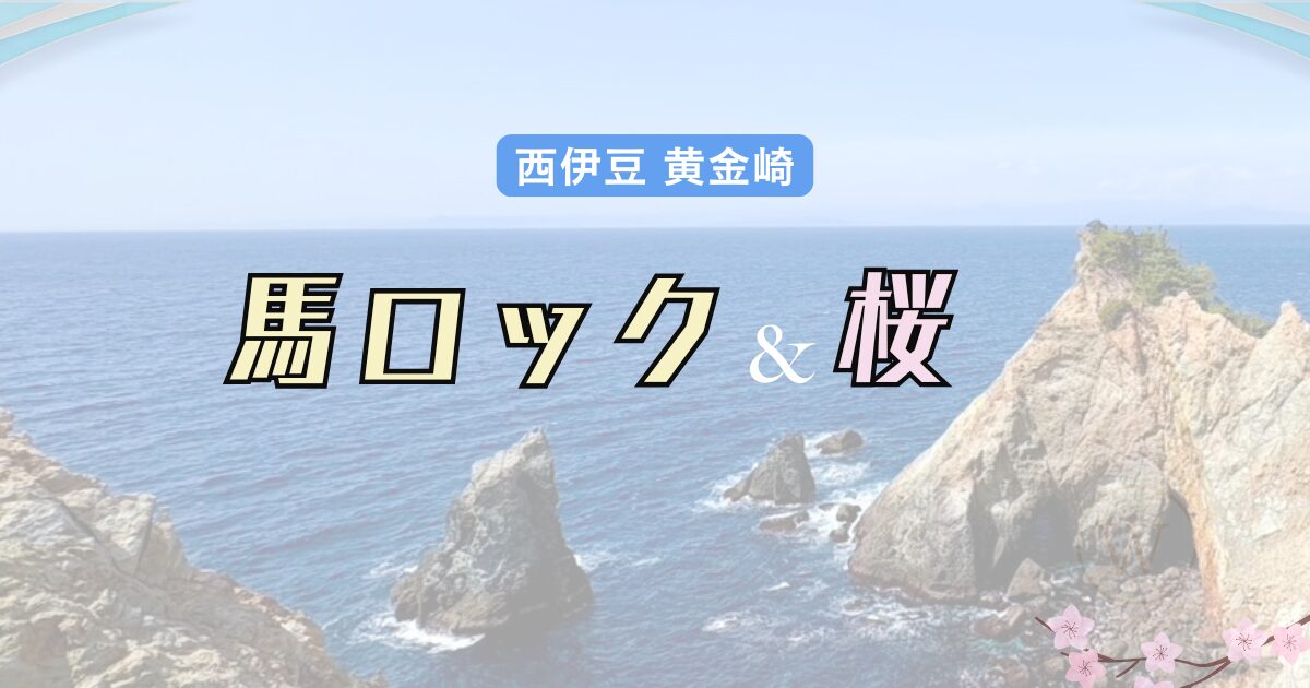 西伊豆の海と馬の形の岩