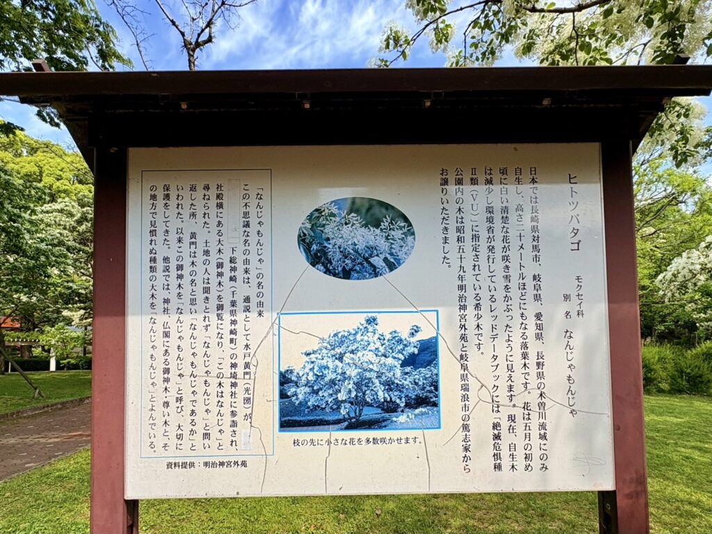 名前の由来看板