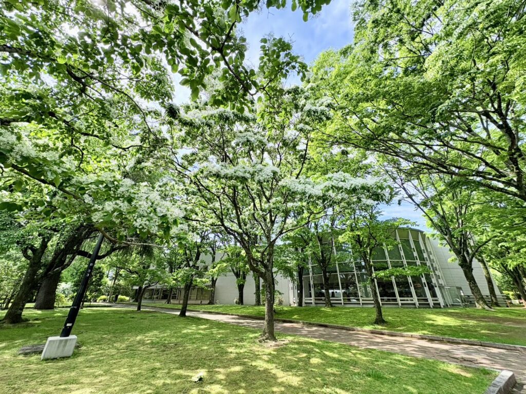 公園内の図書館。建物が風景とマッチ。