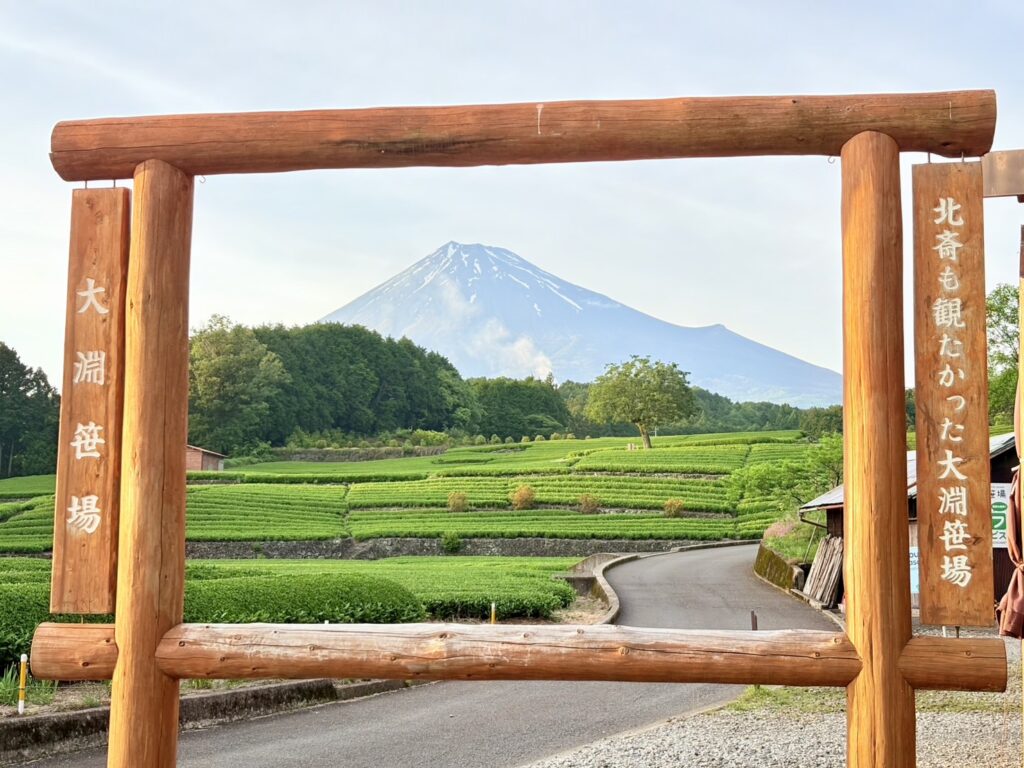 木の枠から見る富士山と茶畑