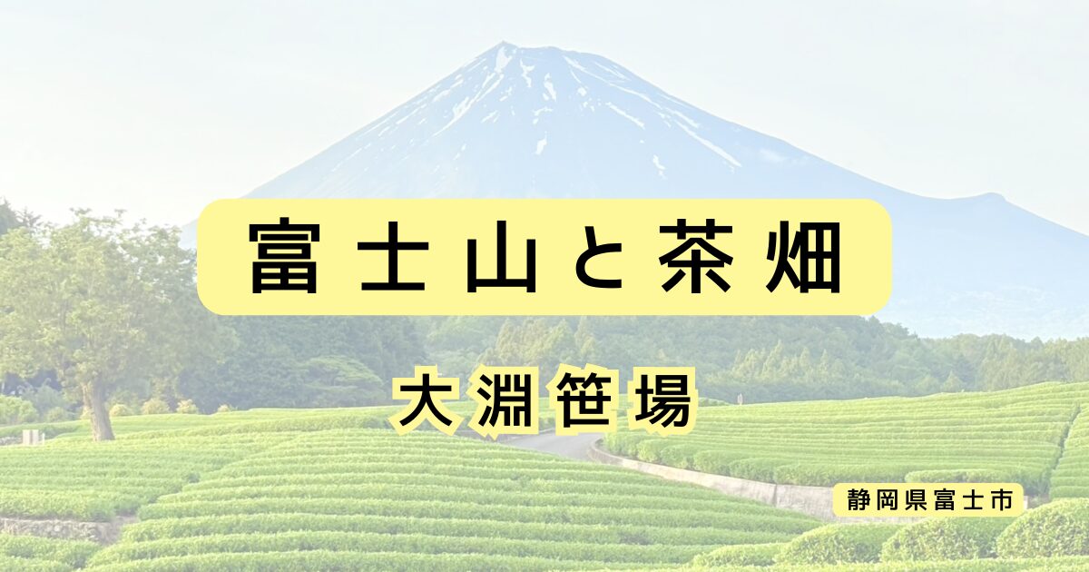 富士山と茶畑