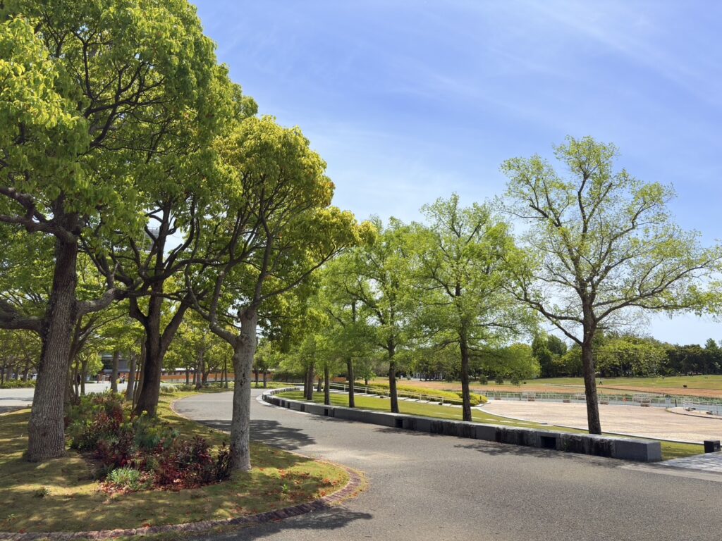 整備された公園