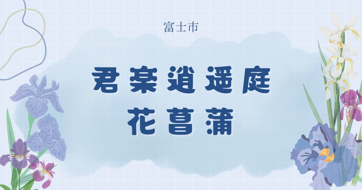 花菖蒲