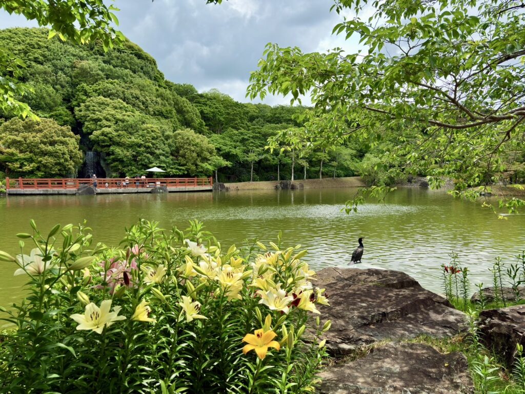 池のある日本庭園