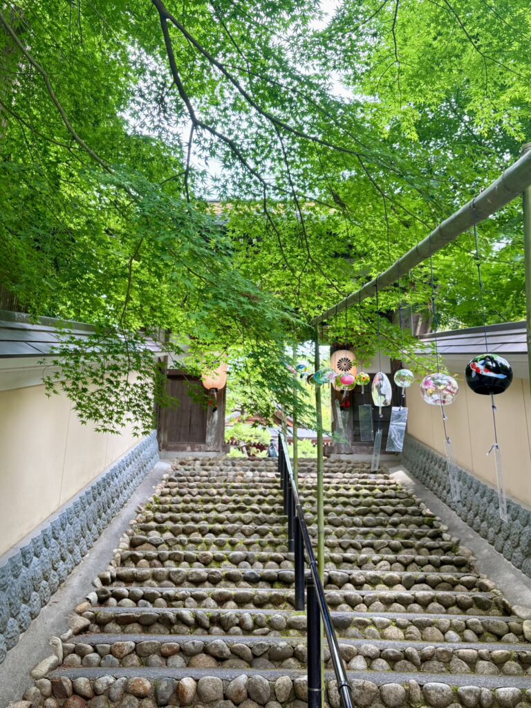 木々の間に揺れる色とりどりの風鈴