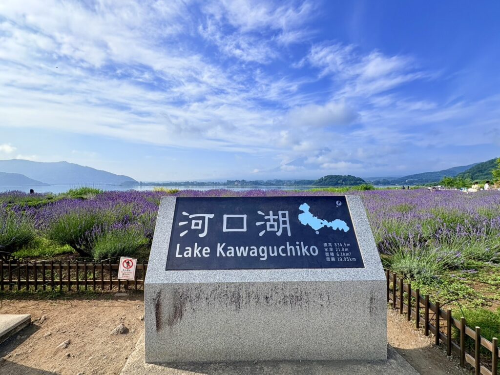 河口湖の大石公園