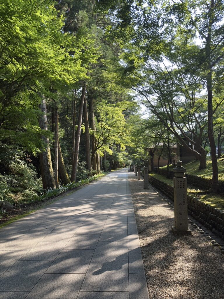 木漏れ日あるれる境内