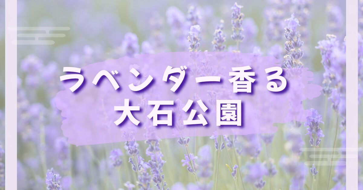 大石公園に咲くラベンダー