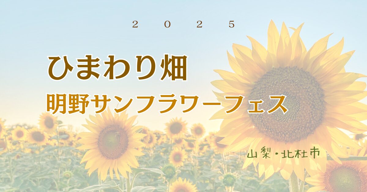 山梨県のひまわり畑