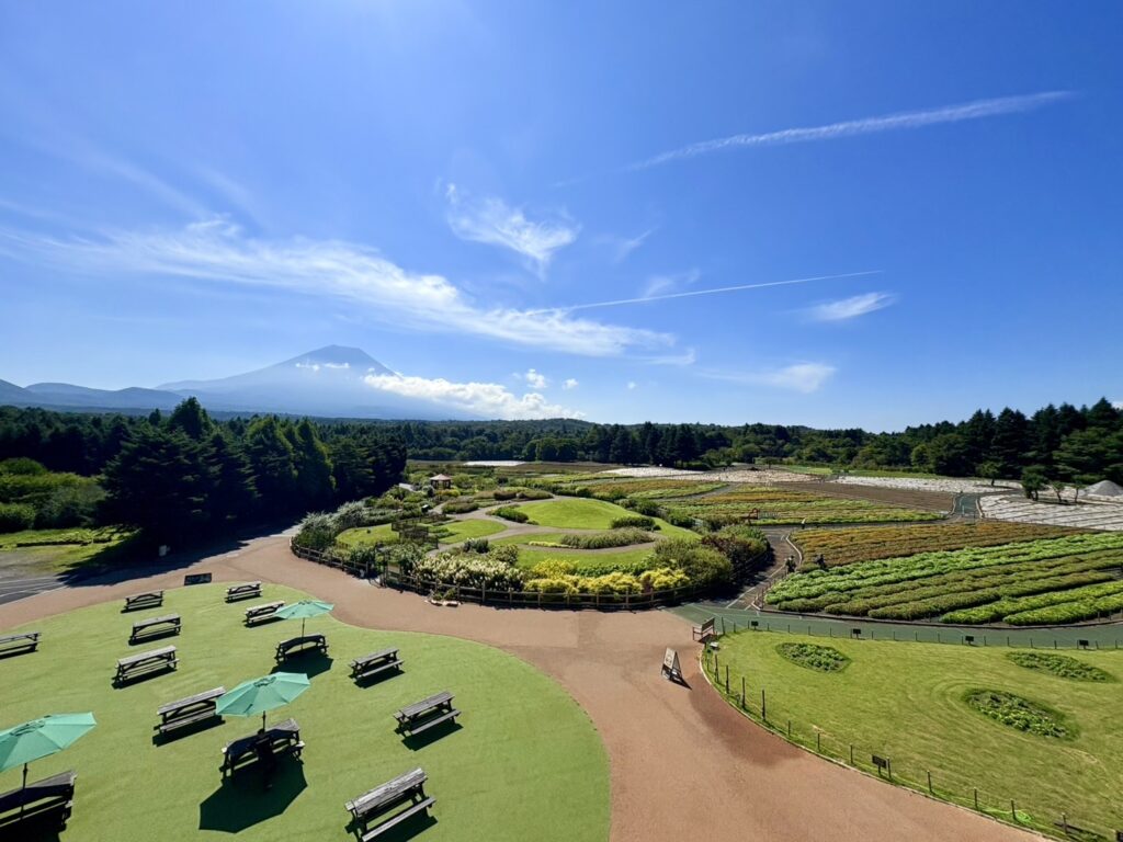 虹の花まつり展望台からの風景