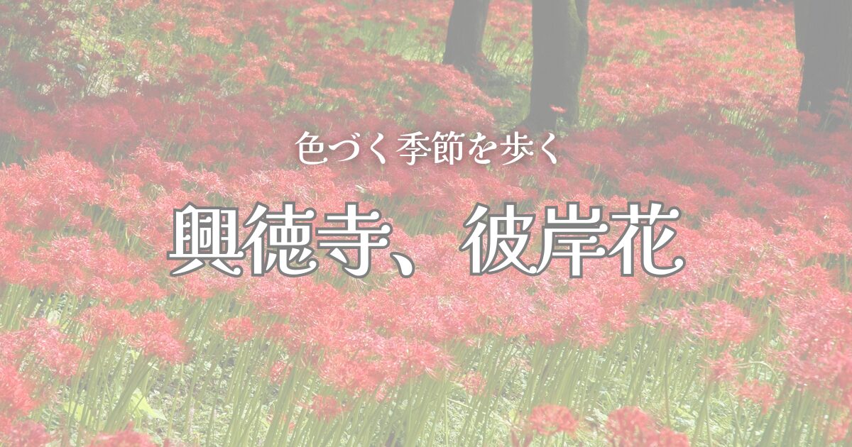 興徳寺の彼岸花