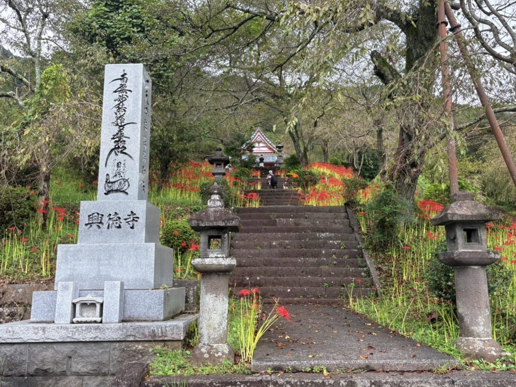 秋の興徳寺