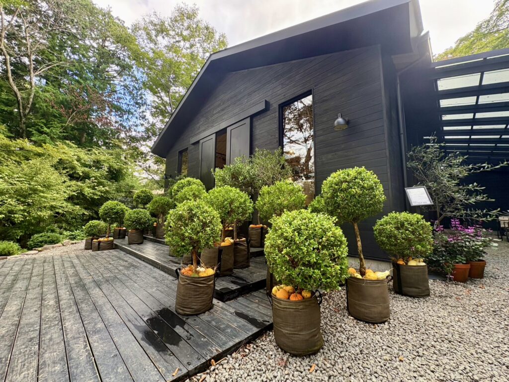 カフェ「NOMU hakone」