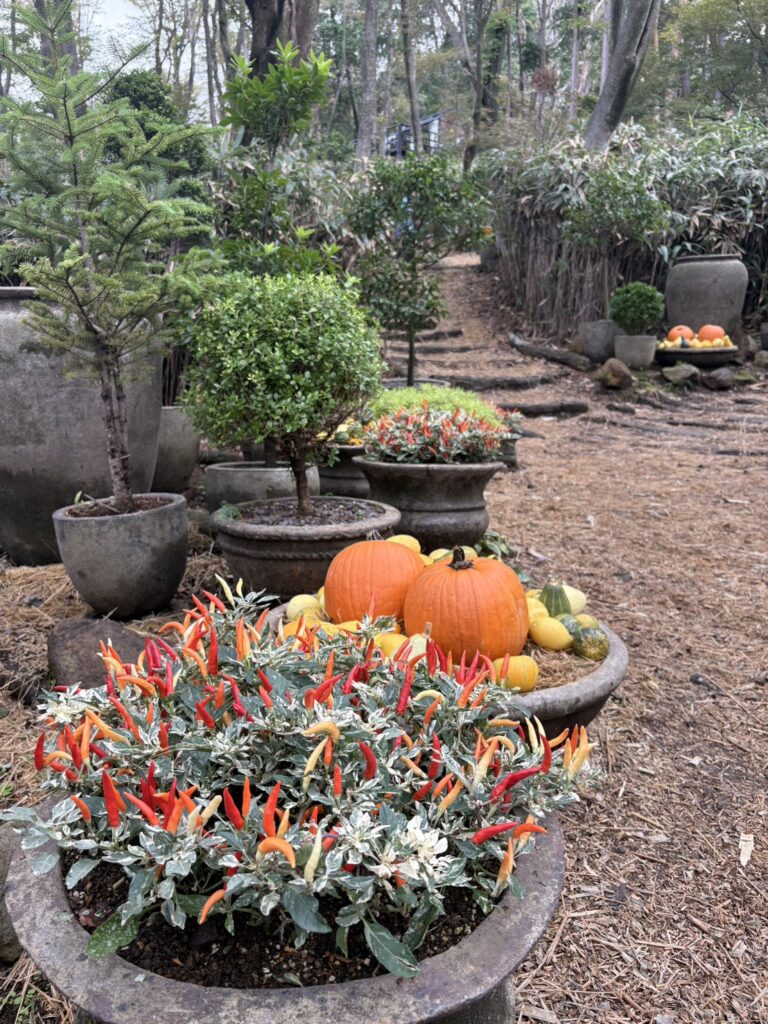 秋色に染まる箱根ガーデンズの庭園全景