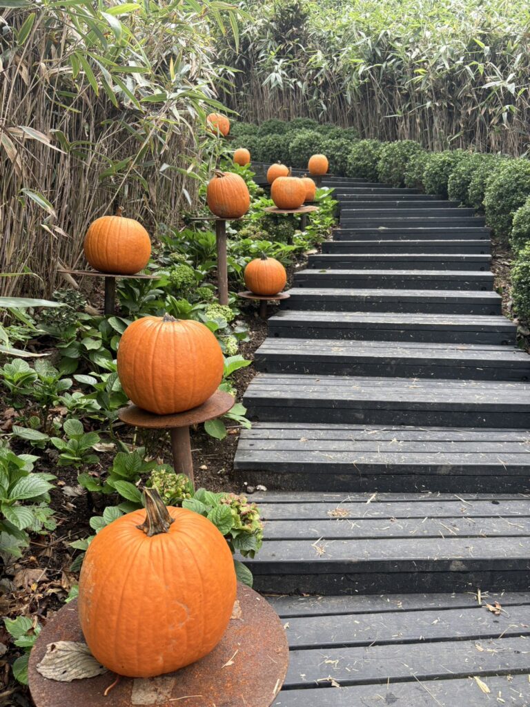 ハロウィンの装飾