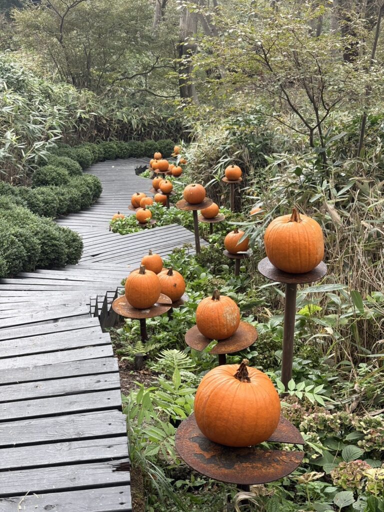 かぼちゃが飾られて散策路