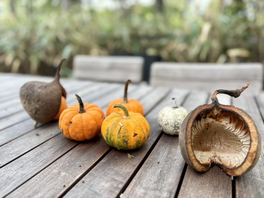 ハロウィンの小物の装飾