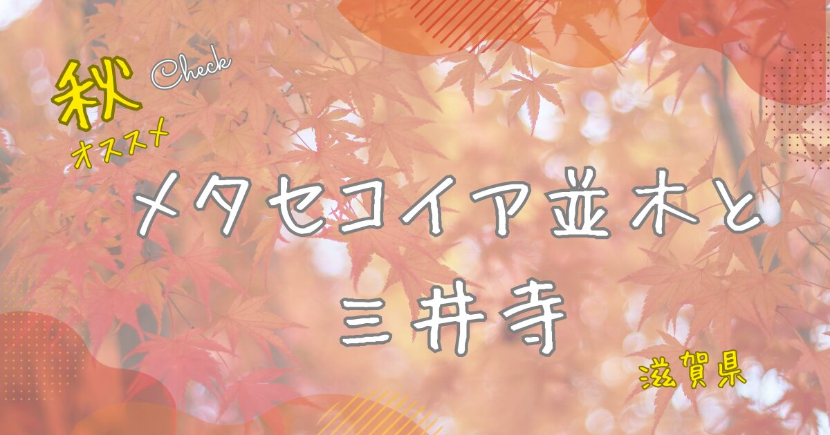 滋賀県の紅葉