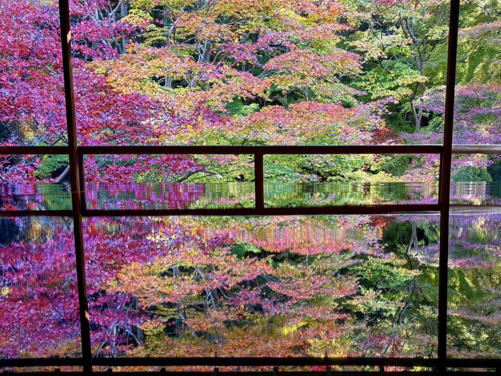 書院の机に映り込む、美しい逆さ紅葉