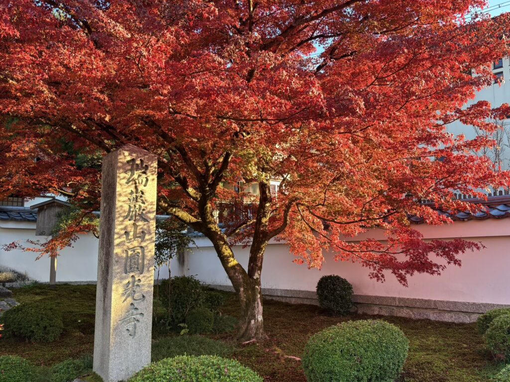 圓光寺入口にある真っ赤な紅葉