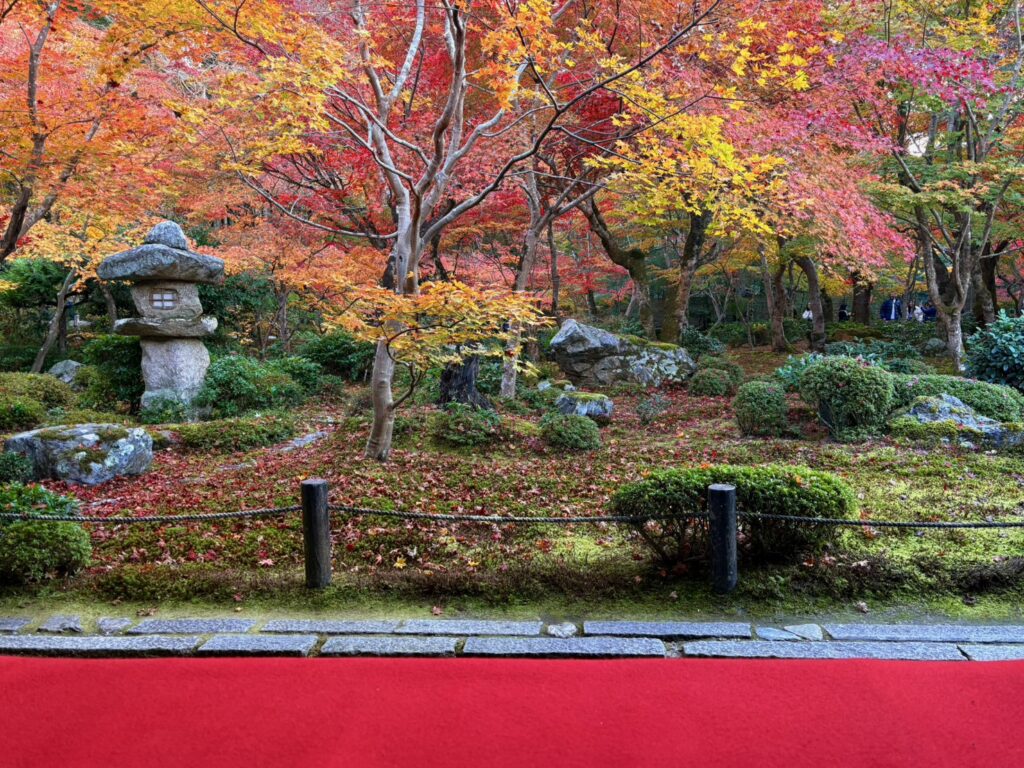 絵画のように美しい秋の圓光寺の十牛之庭