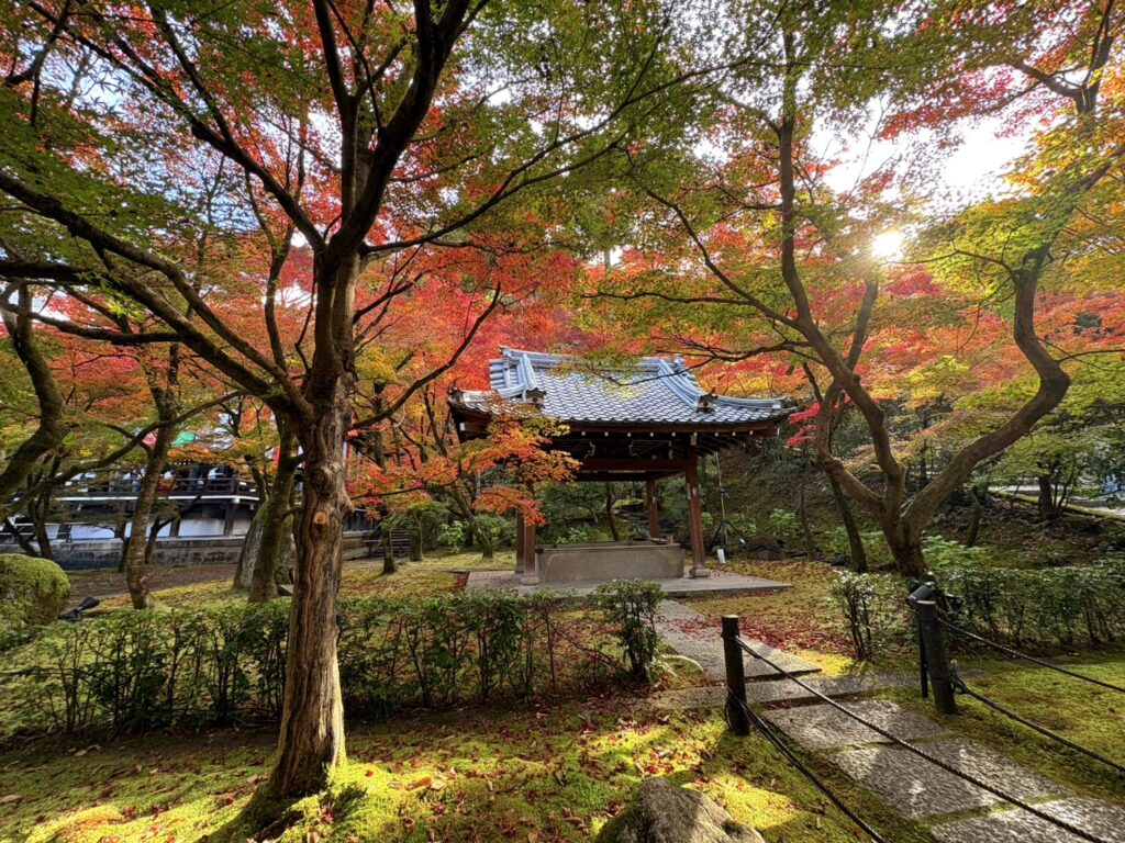 秋の紅葉に染まる永観堂の風景。
