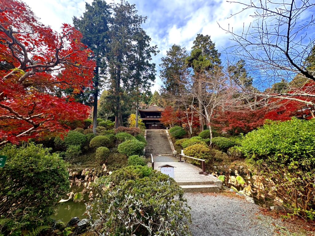 三井寺の秋景色。落ち着いた雰囲気の中で秋を楽しめます。