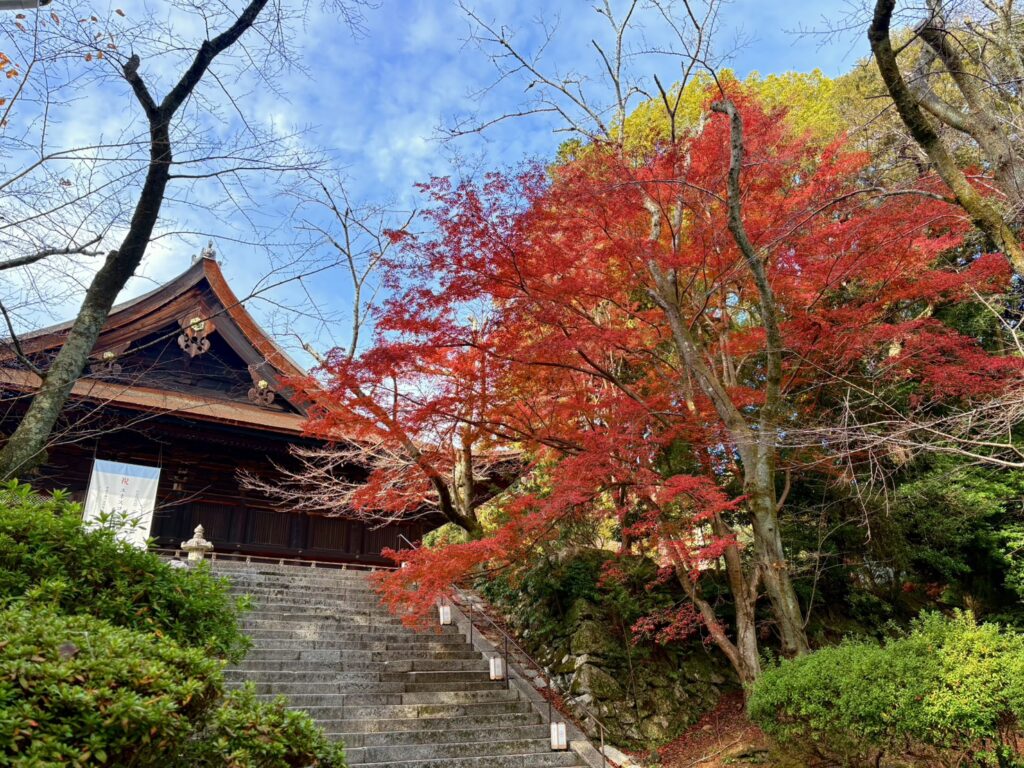 歴史ある三井寺の境内。鮮やかな紅葉が美しい。