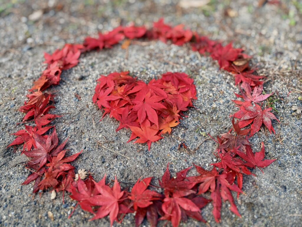紅葉アート。落ち葉で作ったハート。