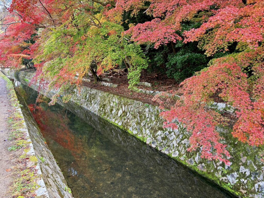 哲学の道の道の紅葉