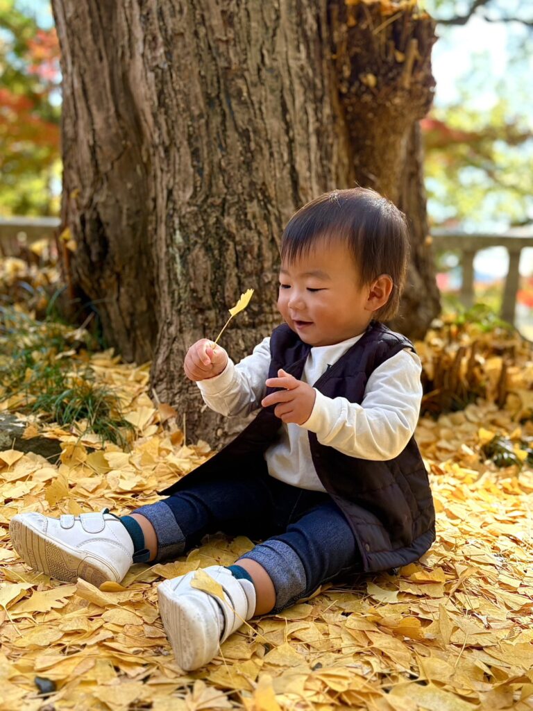 イチョウの葉っぱを持って嬉しそうに夢中で遊ぶ孫の姿が可愛い。