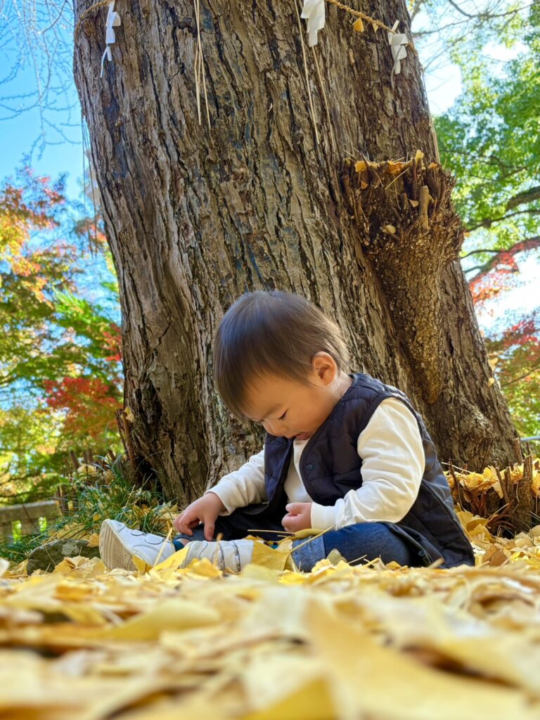 ふかふかのイチョウの絨毯の上にちょこんと座って遊ぶ孫。