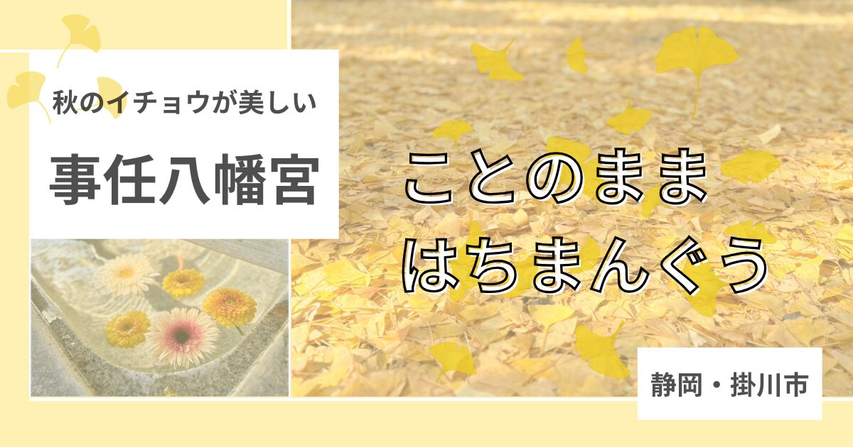 静岡県掛川市、事任八幡宮の黄色いイチョウの絨毯
