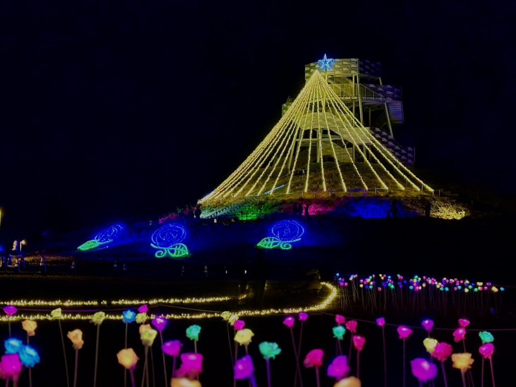 バラのイルミネーションがたくさんあります。