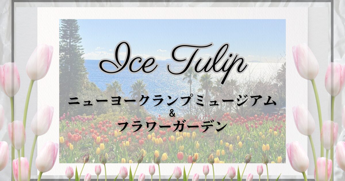 静岡県伊東にあるニューヨークランプミュージアム＆フラワーガーデンでは1月にチューリップが咲いています。