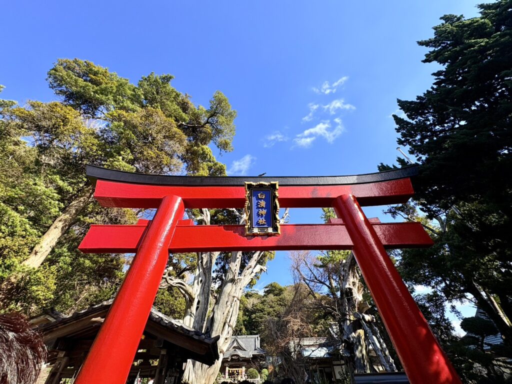 白濱神社の赤い鳥居。