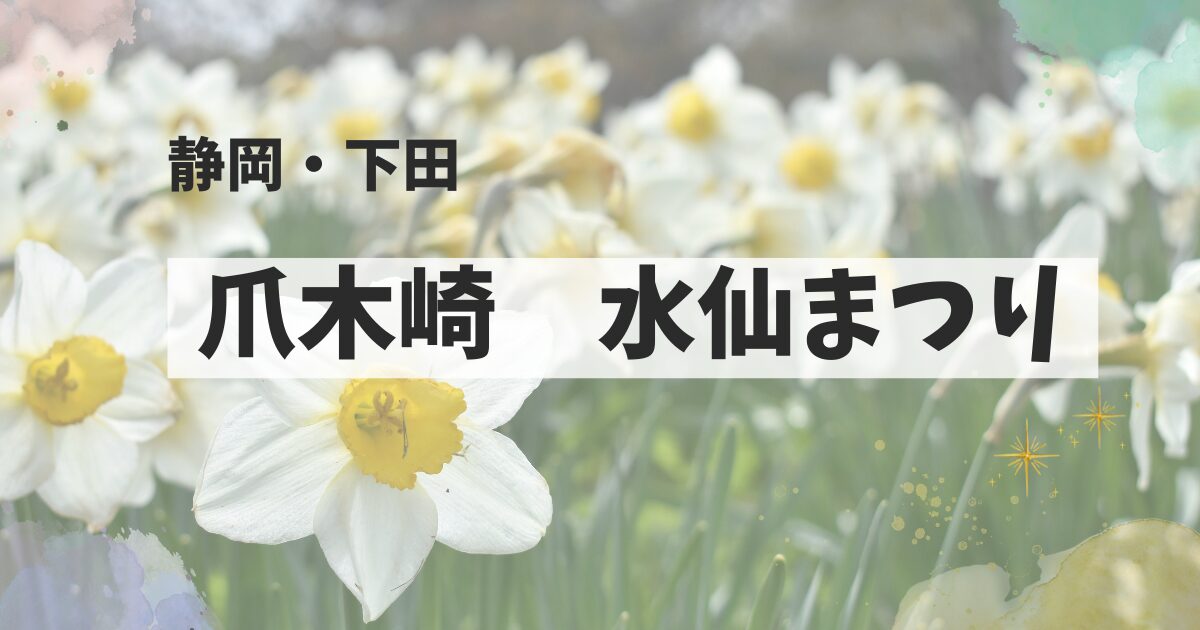静岡県下田市・爪木崎の水仙まつりは早春の名物です。