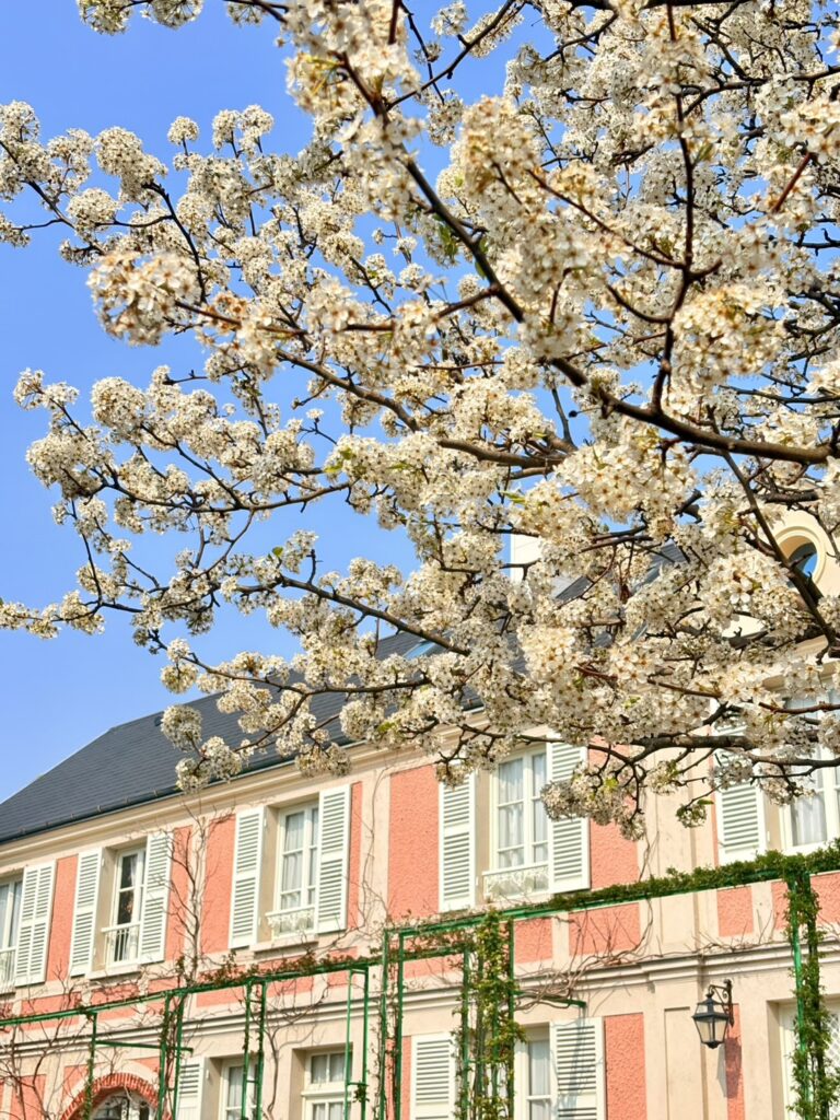 浜名湖ガーデンパーク、花の美術館に咲くマメナシの花
