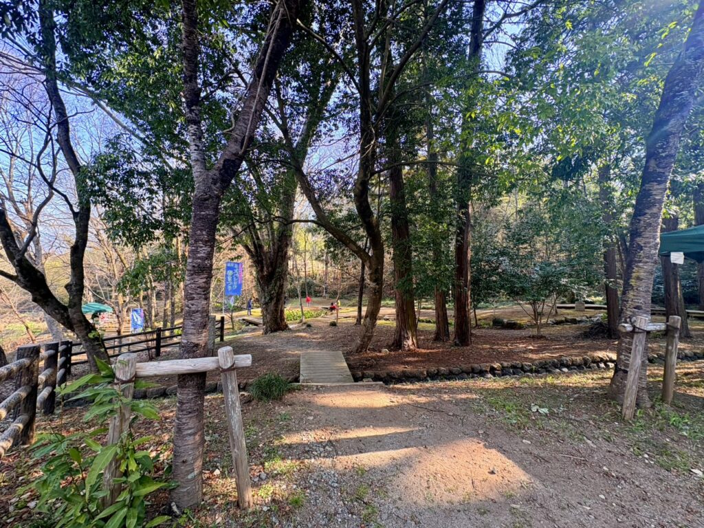 入口付近の看板を目印に進み、橋を渡ってすぐ左手に群生地があります。」