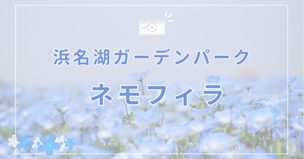 浜名湖ガーデンパークのネモフィラが見頃です。