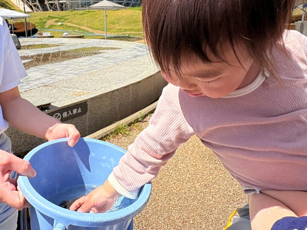 元気に泳ぐ魚を追いかけて、いざつかみどり！