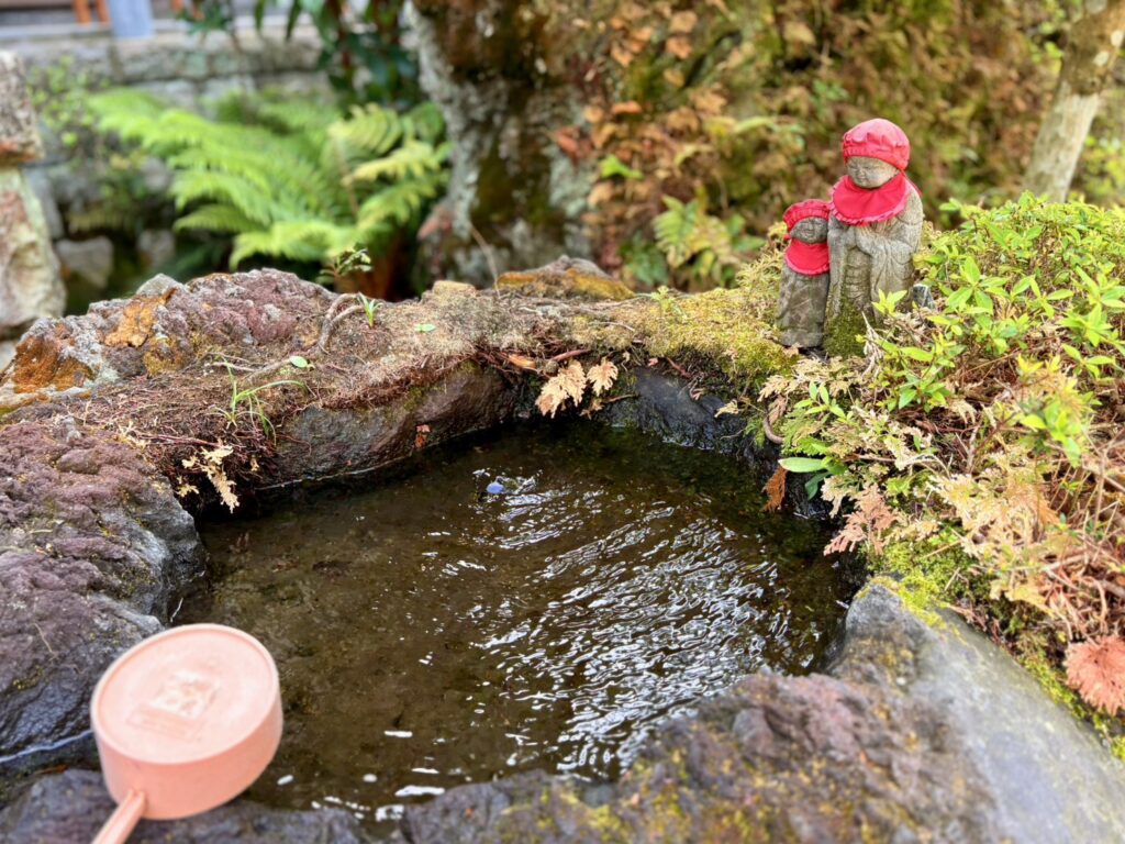 境内の庭園は新緑が美しく、落ち着いた時間を過ごせます。