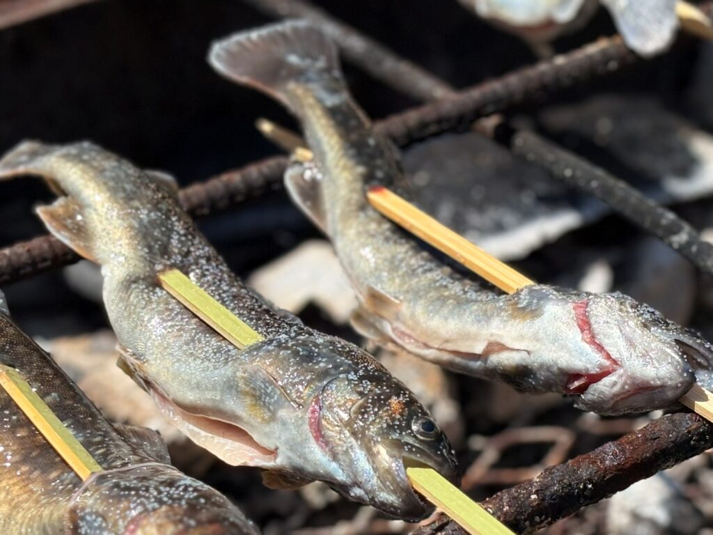 串に刺して、炭火でじっくり焼いていきます。炭火で焼けるいい香りに食欲がそそられます。こんがり焼き色がついてきて、完成まであと少し。